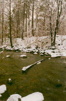 decemberor copy1.png